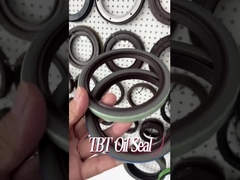 Scania Kamyon 80x100x12mm için OEM 12011821B FKM Kauçuk Krank Mili Yağ Keçesi